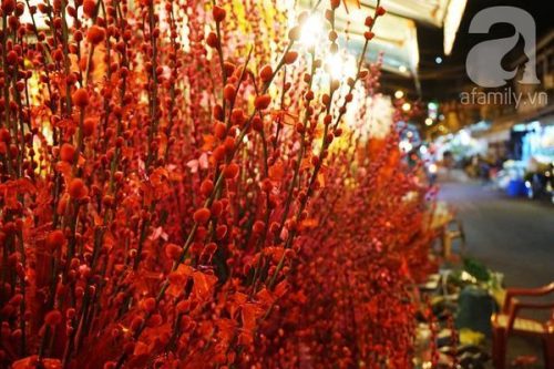Chụp hình Tết tại chơ hoa đầu mối lớn nhất Sài Gòn - Chợ hoa Hồ Thị Kỷ